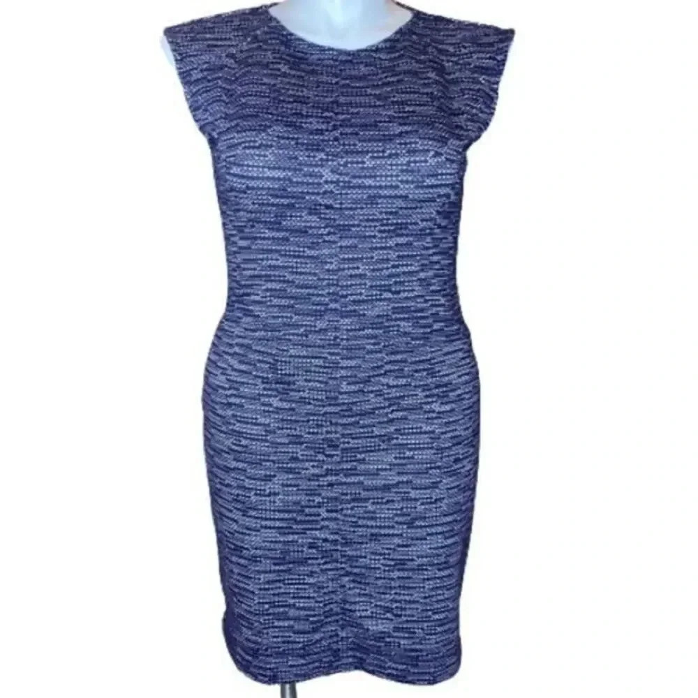 - Ann Taylor petite women dress